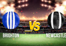 Brighton Newcastle Pronostics
