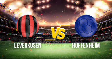 Leverkusen Hoffenheim Pronostics
