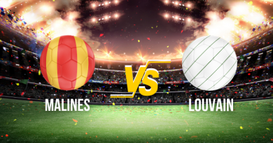 Compo probable Malines Louvain