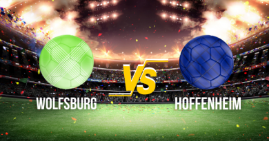 Compo probable Wolfsburg Hoffenheim