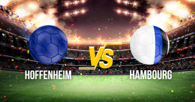 compo probable Hoffenheim Hambourg